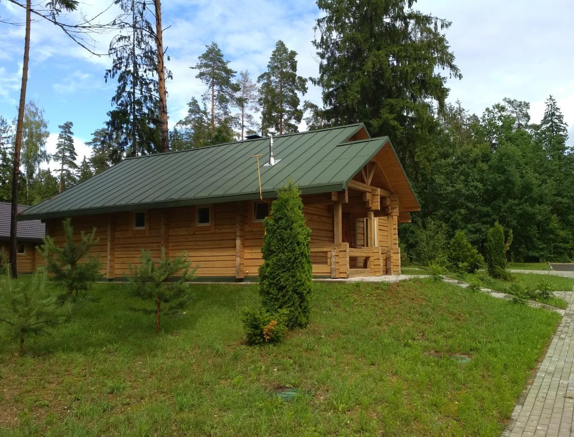 Green Park Hotel Airport Minsk Silichy Exterior foto